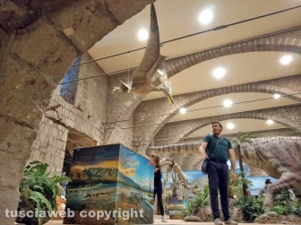 Dinosauri, ultima chiamata