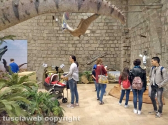 Dinosauri, ultima chiamata