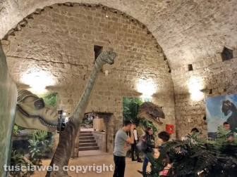 Dinosauri, ultima chiamata