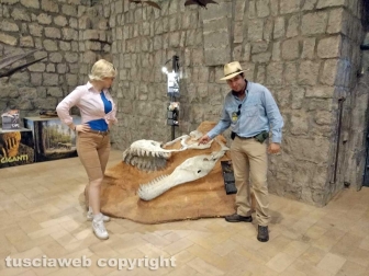 Dinosauri, ultima chiamata