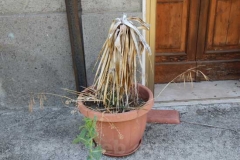 Gradoli -  Dissequestrata la casa di Esposito