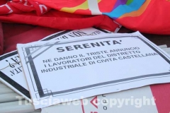 I manifesti della protesta