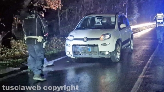 Donna investita sulla Cassia Sud - La polizia locale sul posto