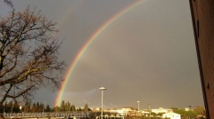 Doppio arcobaleno su Viterbo - Foto di Davide Petrazzini