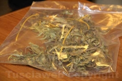 La droga e il materiale sequestrato