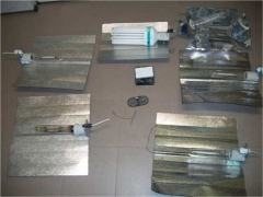 Le lampade nella serra