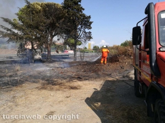 Fiamme a ridosso dell'Aurelia, prociv e vigili del fuoco al lavoro