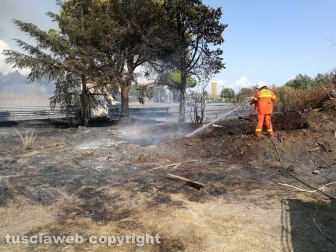 Fiamme a ridosso dell'Aurelia, prociv e vigili del fuoco al lavoro