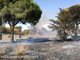 Fiamme a ridosso dell'Aurelia, prociv e vigili del fuoco al lavoro