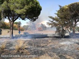 Fiamme a ridosso dell'Aurelia, prociv e vigili del fuoco al lavoro