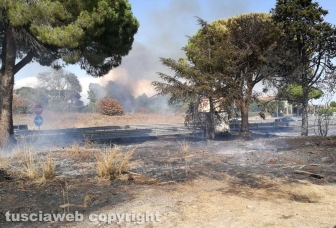 Fiamme a ridosso dell'Aurelia, prociv e vigili del fuoco al lavoro