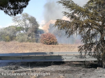 Fiamme a ridosso dell'Aurelia, prociv e vigili del fuoco al lavoro