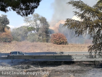 Fiamme a ridosso dell'Aurelia, prociv e vigili del fuoco al lavoro