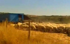 I luoghi in cui lavoravano le ragazzine