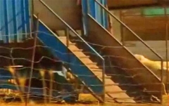 I luoghi in cui lavoravano le ragazzine