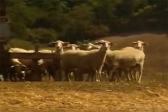 I luoghi in cui lavoravano le ragazzine