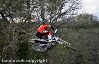 Sport - Motocross - Joakin Furbetta