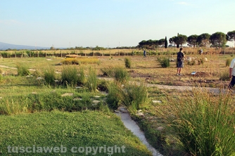 Parco termale Bagnaccio