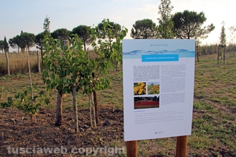 Parco termale Bagnaccio