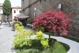 San Pellegrino in Fiore 2017