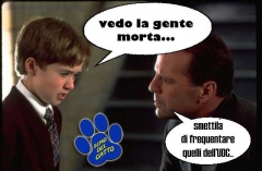 Elezioni da ridere
