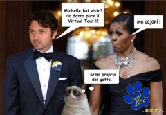 Elezioni da ridere