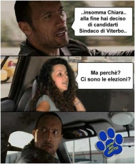 Elezioni da ridere
