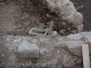 Emergenze archeologiche a Valle Faul