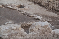 Viterbo -  Emergenze archeologiche a Valle Faul