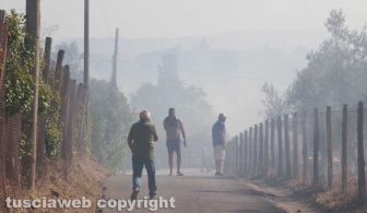 Ennesimo incendio a Ponte di Cetti