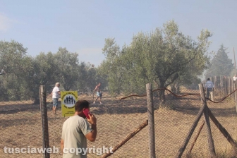 Ennesimo incendio a Ponte di Cetti