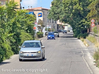Erba alta lungo la Cassia sud