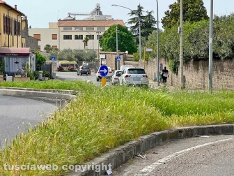 Erba alta lungo viale Armando Diaz