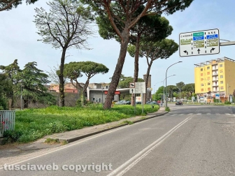 Erba alta lungo viale Armando Diaz