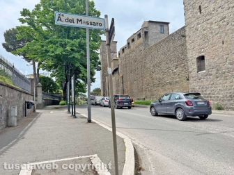 Erba alta tra via del Massaro e via Pietro Vanni