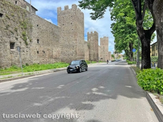 Erba alta tra via del Massaro e via Pietro Vanni
