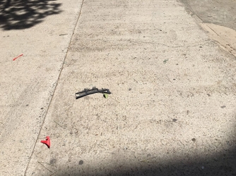 Esplode bombola del gas