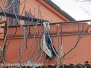 Esplode un appartamento, morto 26enne