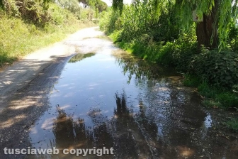 Montefiascone - Ex Cobalb, sversamenti sul lungolago
