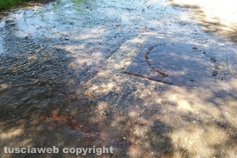 Montefiascone - Ex Cobalb, sversamenti sul lungolago