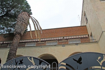 Viterbo - Ex Onmi