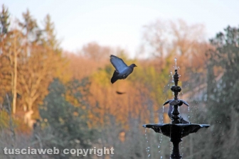 Fabrizio Frizzi un anno dopo