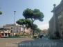 Ferragosto in città