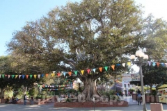 Il mercatino messicano