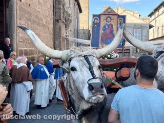 Viterbo - Festa del Santissimo Salvatore