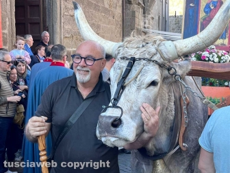 Viterbo - Festa del Santissimo Salvatore