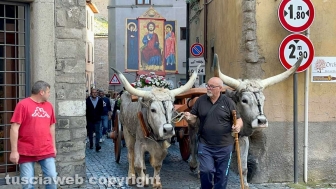 Viterbo - Festa del Santissimo Salvatore