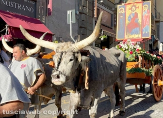 Viterbo - Festa del Santissimo Salvatore