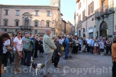 Festa del Santissimo Salvatore