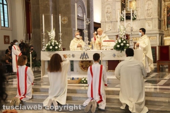 Viterbo - Festa della Madonna della Quercia